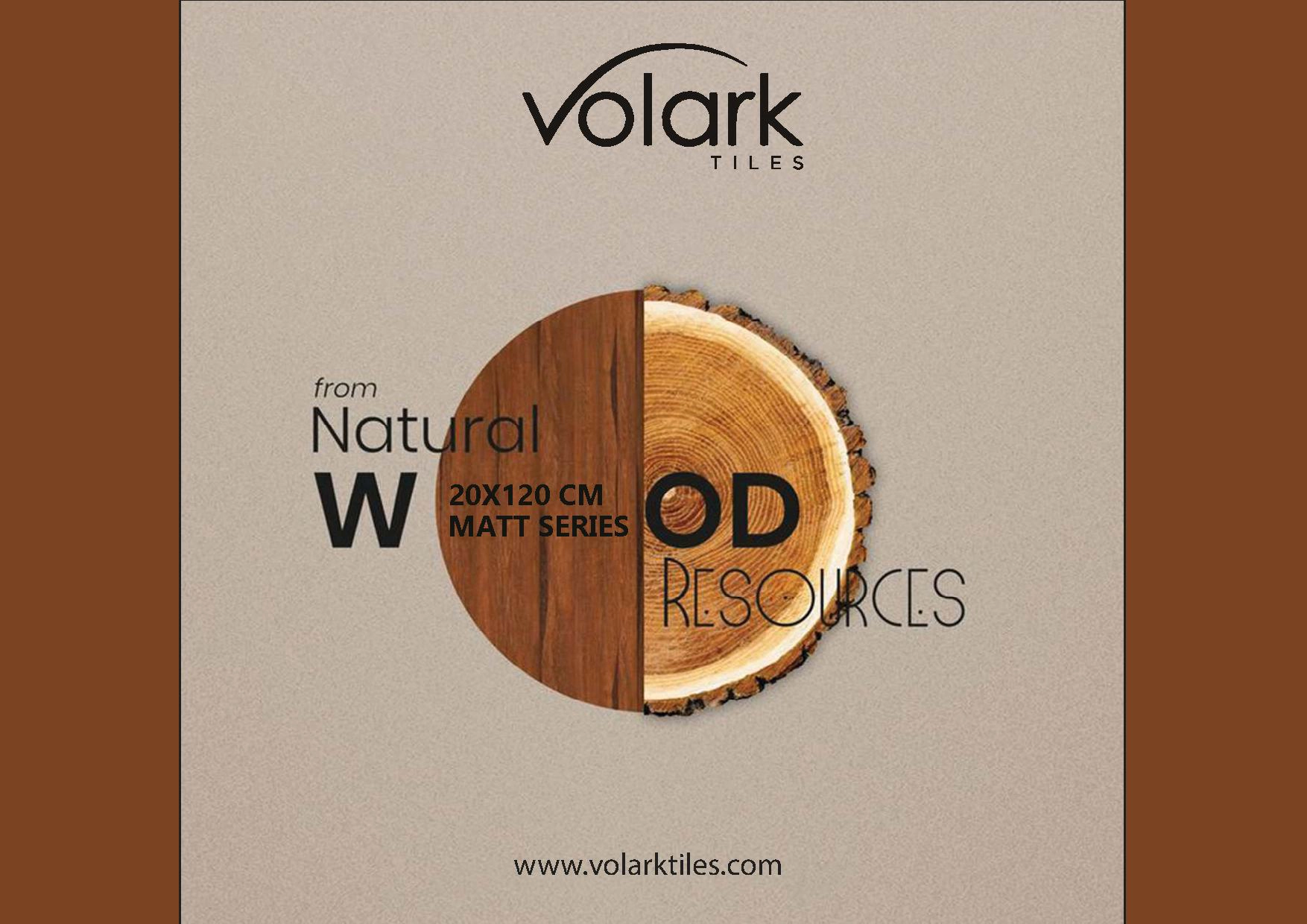 VOLARK TILES 20X120  9MM WOODEN CATALOG