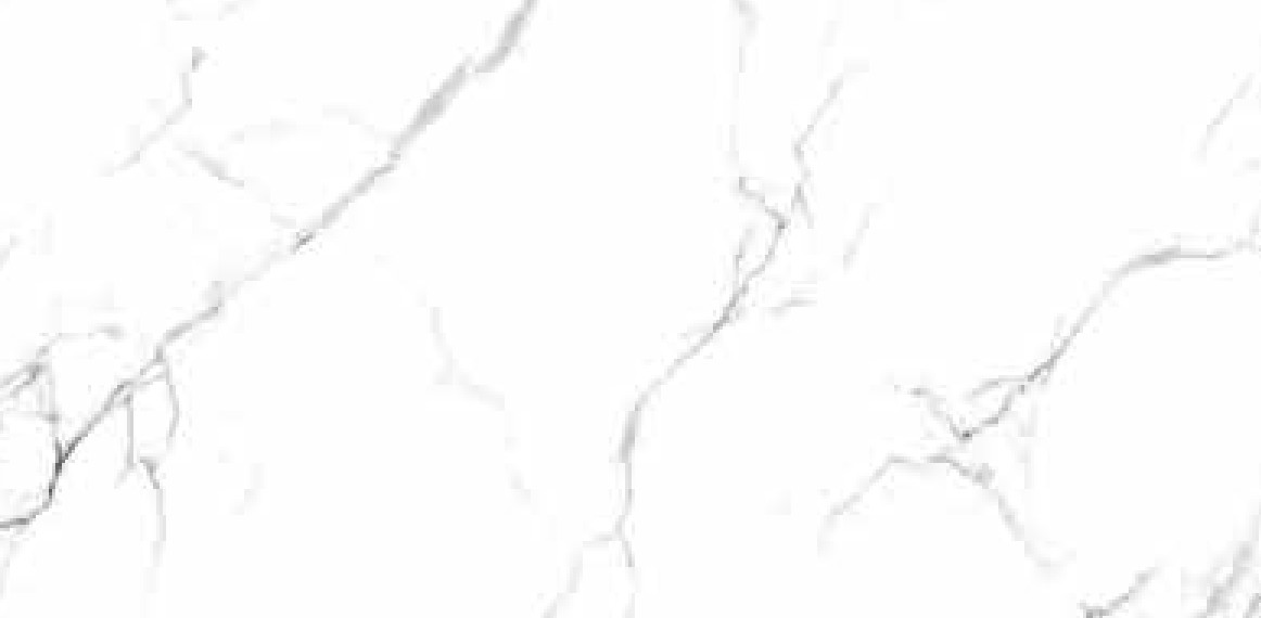 6055 - L 