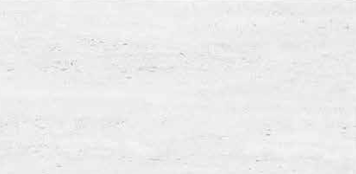 6010 - L 