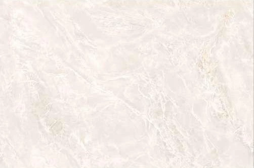 8123