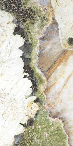BOTANIC WAVE BOOKMATCH B
