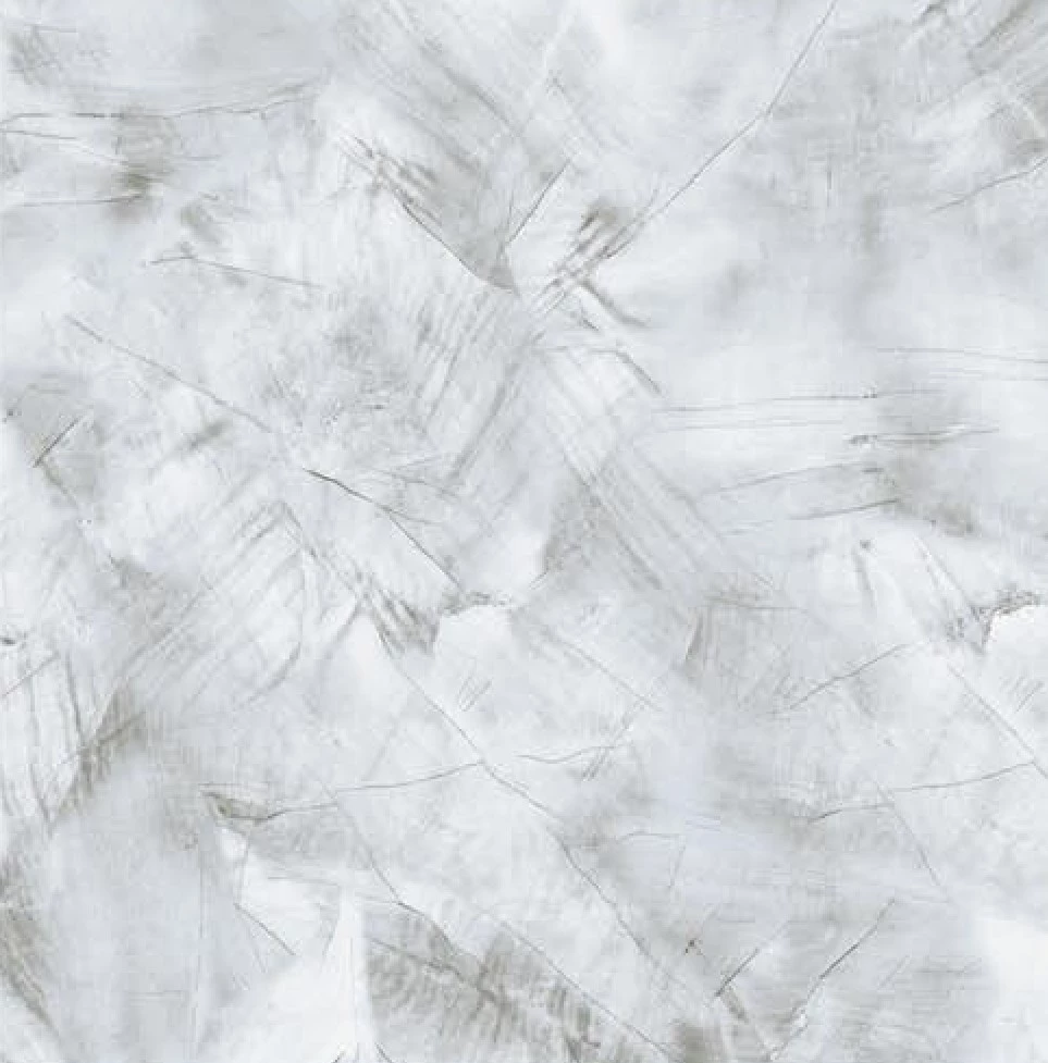 revisa grey