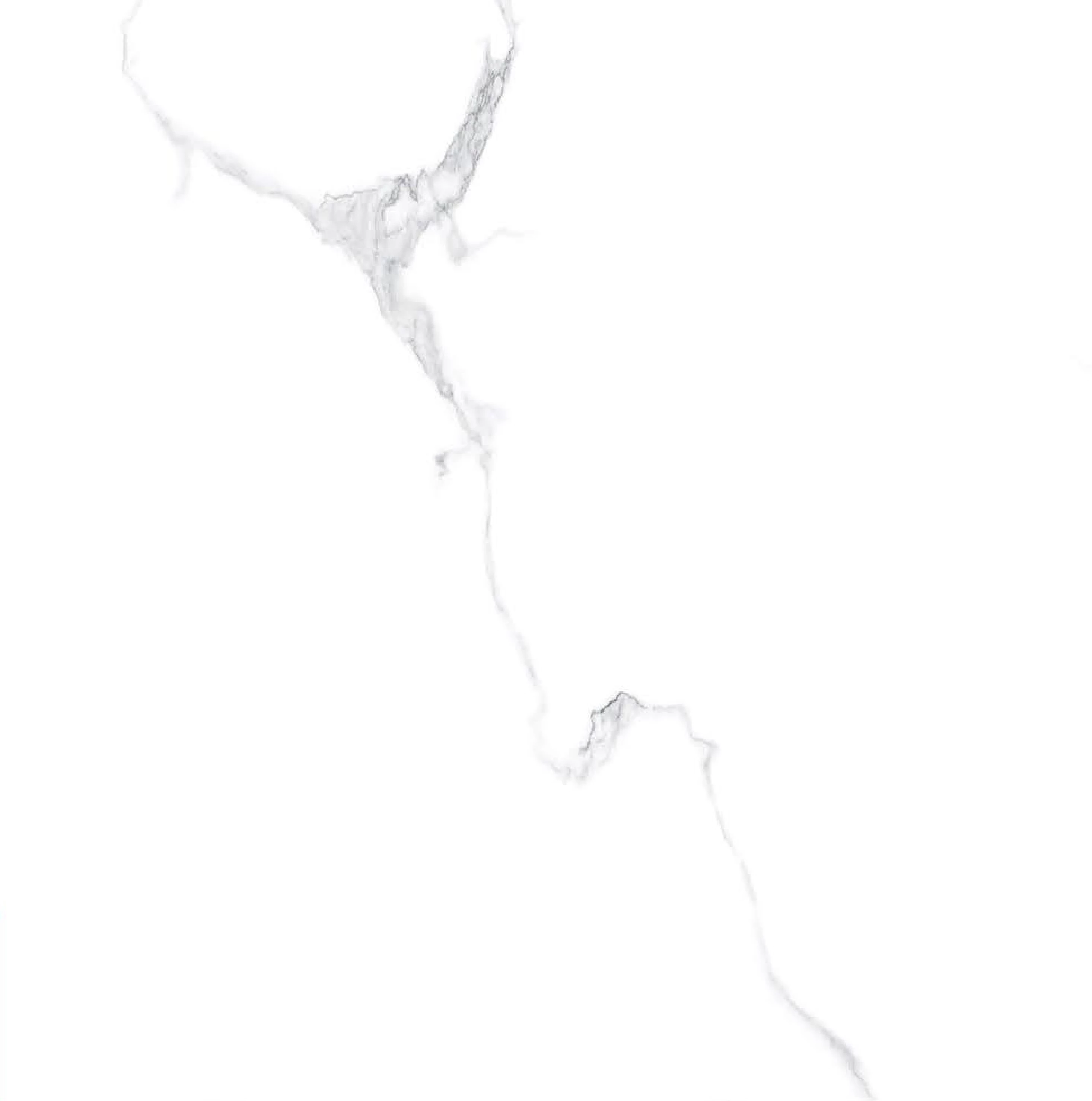 1016