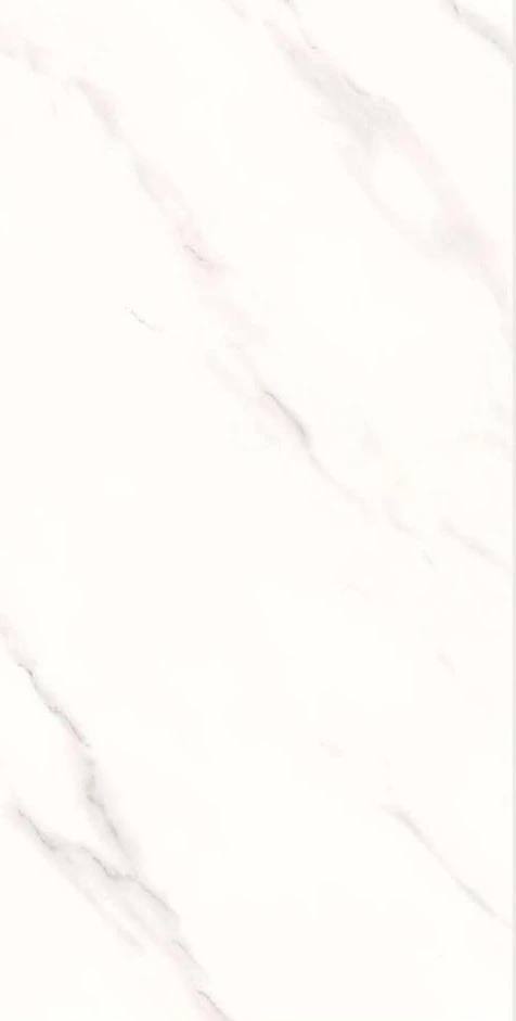 16207