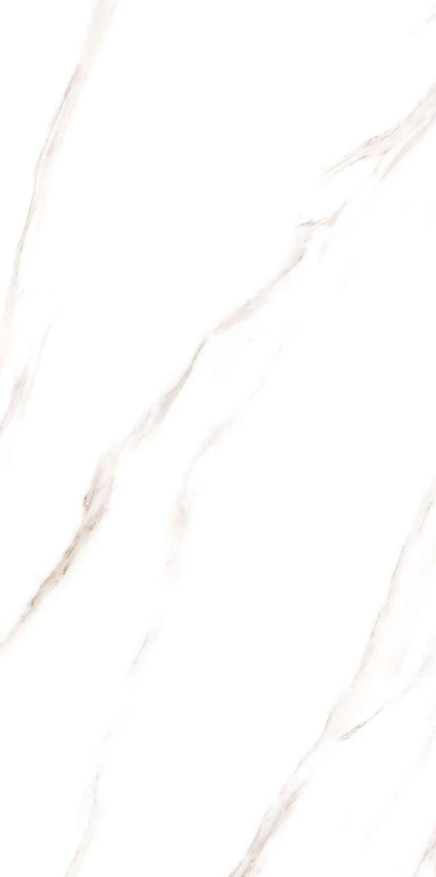 16219