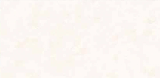 6039 - L 