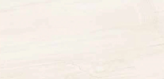 6036 - L 