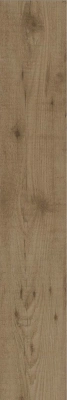 15907