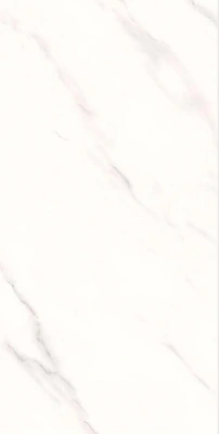 16207