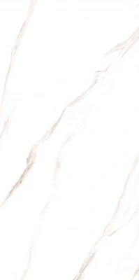 16219