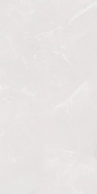 ARMANI LIGHT GREY